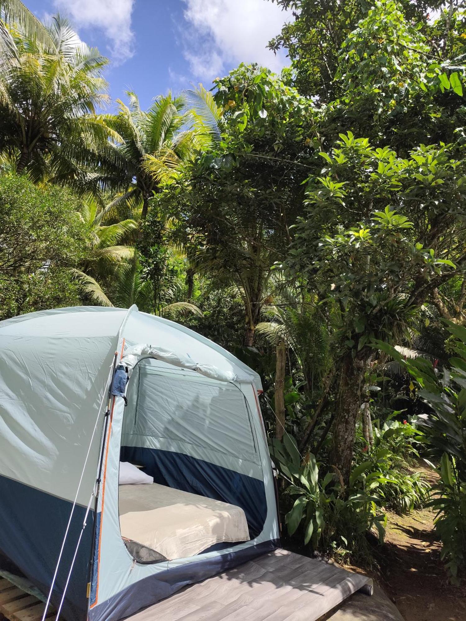 Camping A La Ferme Gros-Morne Eksteriør billede